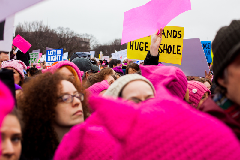 Illustration for article titled WOMEN'S MARCH ON WASHINGTON : THE SIGNS